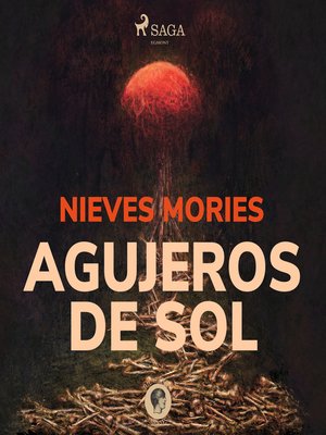 cover image of Agujeros de sol